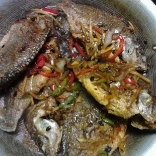 Tilapia sa tausi