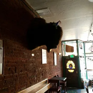 Afternoon drinks