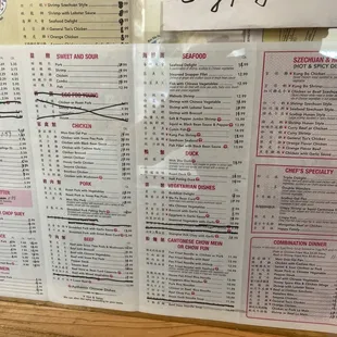 Modified Menu Professionally Presented???