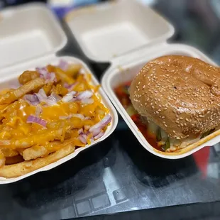 Chili Cheese Fries (Small)