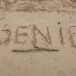 Genie A.
