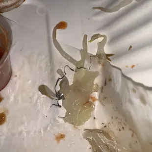 food