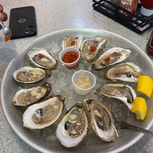 Oysters