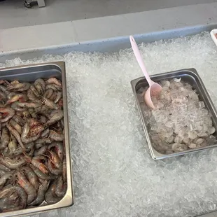 a variety of shrimp