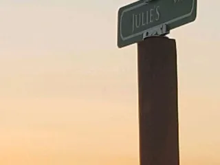 Julie's Organic Blueberry Upick