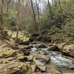 Instagram: @telephonesmoothie