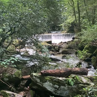 Falls from a distance.