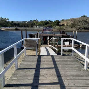 a dog on a dock