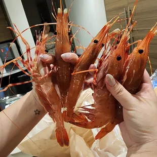 Spot prawns