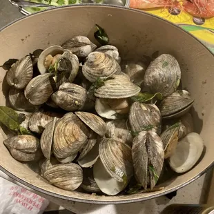 Little neck clams