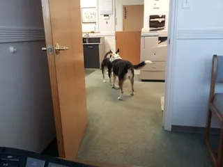 Technical & Office Support Services