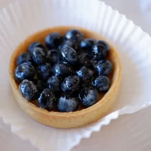 Fresh Berry with Custard Pie