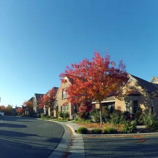 Pebble Brook Village