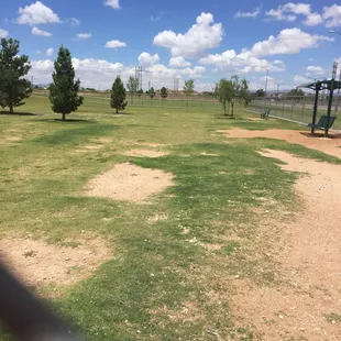 Side for the smaller dogs