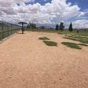 Side for the bigger dogs