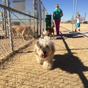 Just outside the park