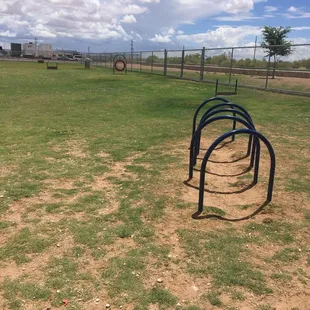 Obstacles for training pups