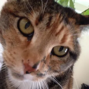 Love all animal's and their owner's as long as they are well cared for..Watch out for the human animals taking pictures @ park..