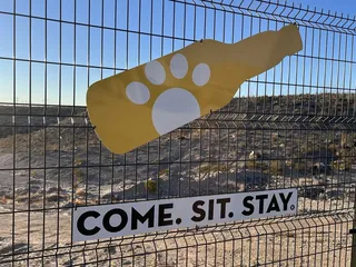 MUTTS Canine Cantina