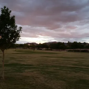 Pebble Park around 5 pm on 10/29/2015