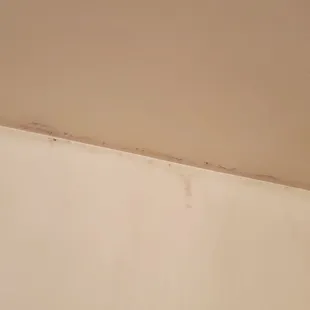 Black spots on bathroom ceiling
