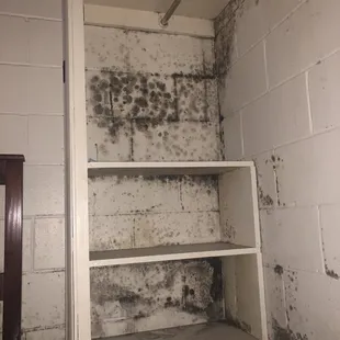 Black mold in 2nd room we was moved to