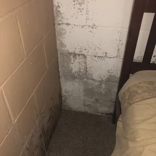 Black mold by headboard