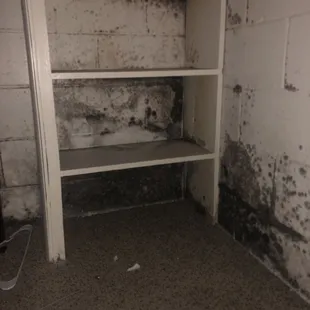 Mold in closet