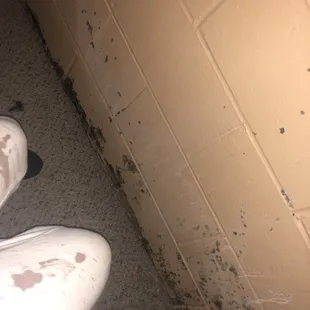 Black mold on walls