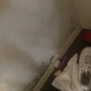 Black mold
