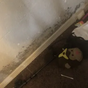 Black mold