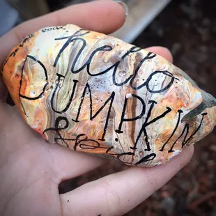 Rock I took home from their Rock Garden, cuz we&apos;ll you know lol! @orangevalerocks on Instagram