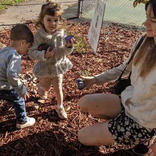 &quot;Kindness Rocks&quot; Take one leave one rock garden, we went rock hunting with friends this morning!