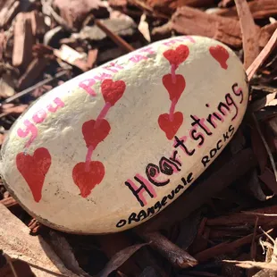 &quot;Kindness Rocks&quot; Take one leave one, love this one, aww!