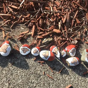 Rock Garden, I love these gnomes! @orangevalerocks