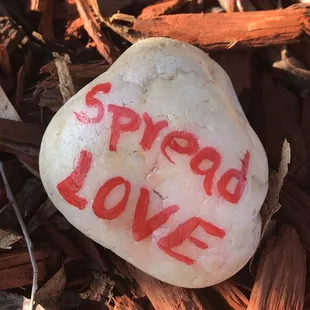 &quot;Kindness Rocks&quot; Take one leave one rock garden, great message to spread!