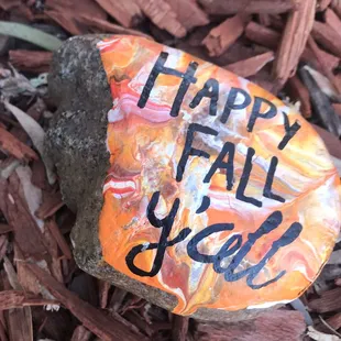 Rock Garden, so pretty! @orangevalerocks