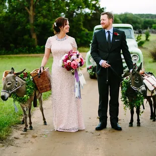 Pecan Springs RAnch donkeys