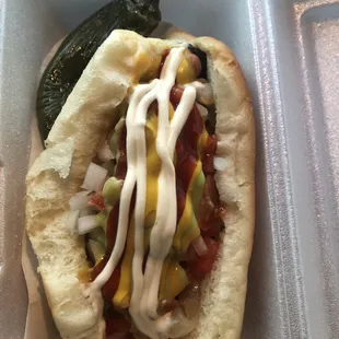 Sonoran dog with everything with a roasted jalapeño. Sooo good!!