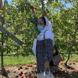 Sabiha Sagri with a bag of handpicked apples.