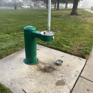 Water fountain along the walking path