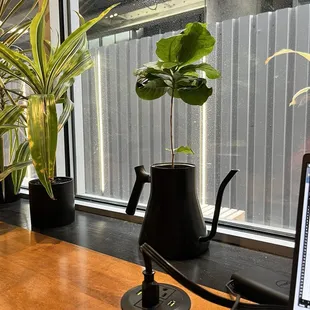 Seating area with plants