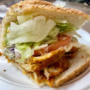 Chicken Sub - spicy with tomato and onion added