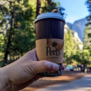 a hand holding a coffee cup