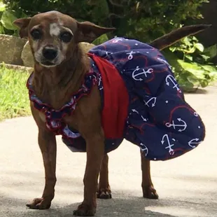 The ruff of my rife.