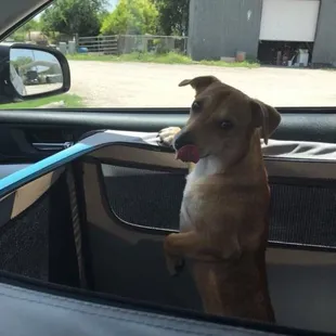 READ NOTE AND SCREENSHOTS.