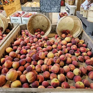 Peach season!!