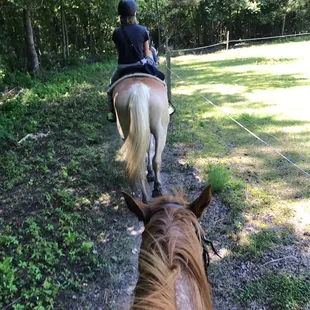 On the trail at Pheiffer Riding Stables