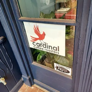  cardinal bird in the window