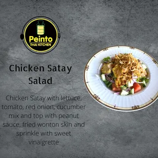 SL6. Chicken Satay Salad
